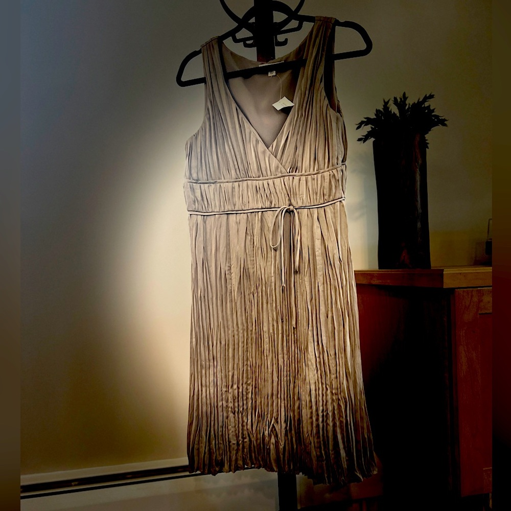 NWT BANANA REPUBLIC Dress CHAMPAGNE Size 10